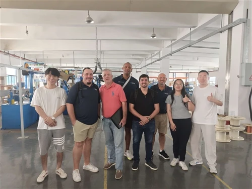 Paide Cable Welcomes Overseas Customers For Factory Visits, On-site Inspectio...